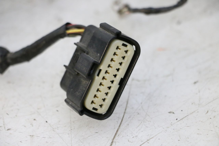 photo de CABLEADO GILERA RUNNER SP 50 (2009 - 2017)