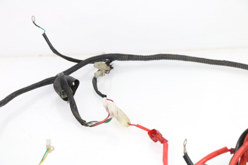 photo de CABLEADO SAMPO LY50QT-21 50 (2009 - 2014)