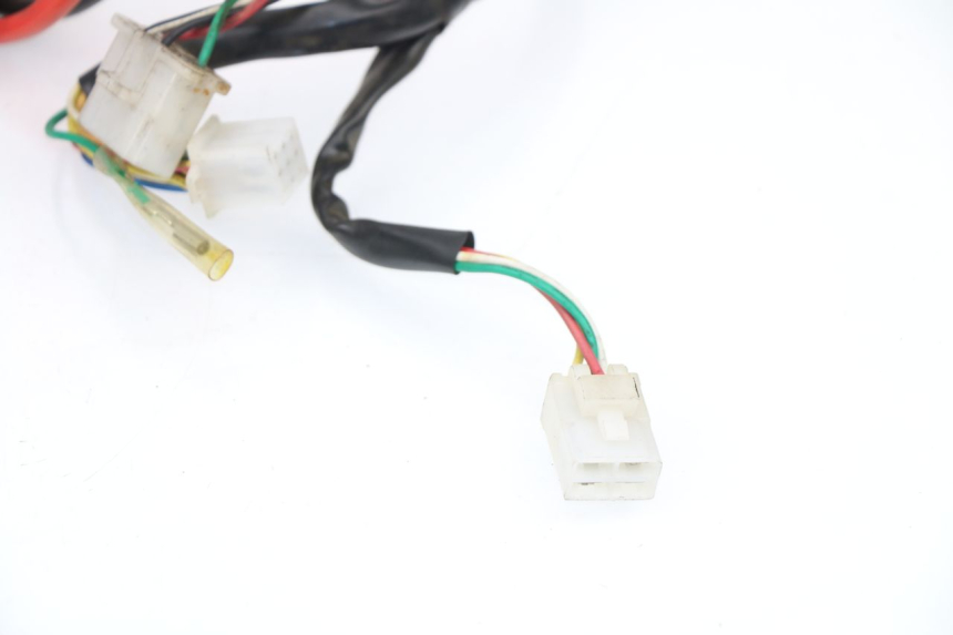 photo de CABLEADO SAMPO LY50QT-21 50 (2009 - 2014)