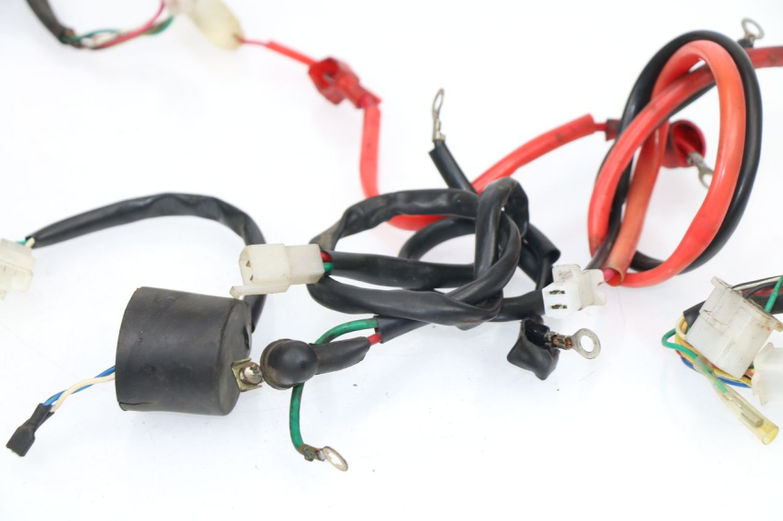 photo de CABLEADO SAMPO LY50QT-21 50 (2009 - 2014)