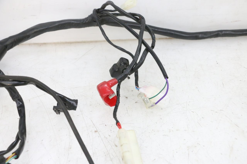 photo de CABLEADO JM MOTORS SANTANA EVO 50 (2024 - 2026) - Zoom sobre los componentes