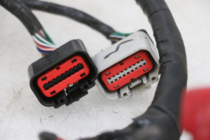 photo de CABLEADO JM MOTORS SANTANA EVO 50 (2024 - 2026) - Detalles de los puntos de fijación