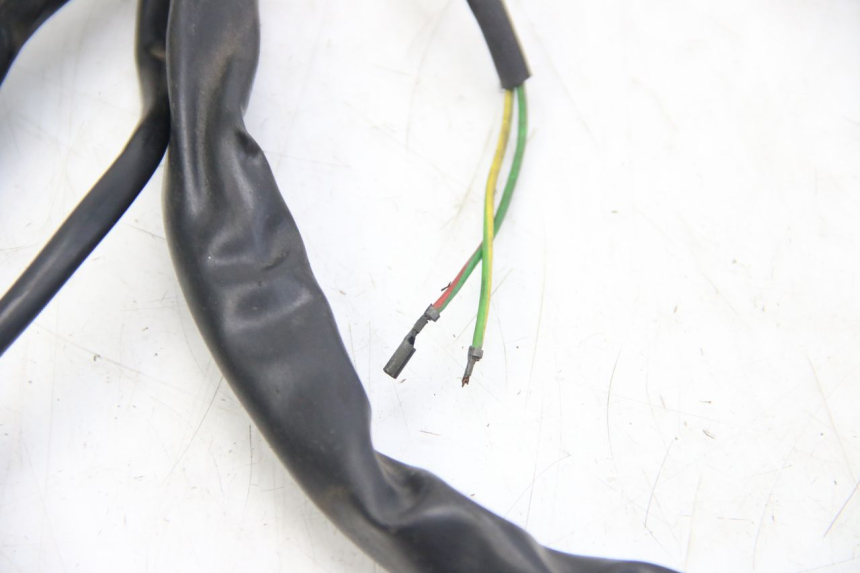 photo de CABLEADO APRILIA SCARABEO 4T 50 (2009 - 2017)