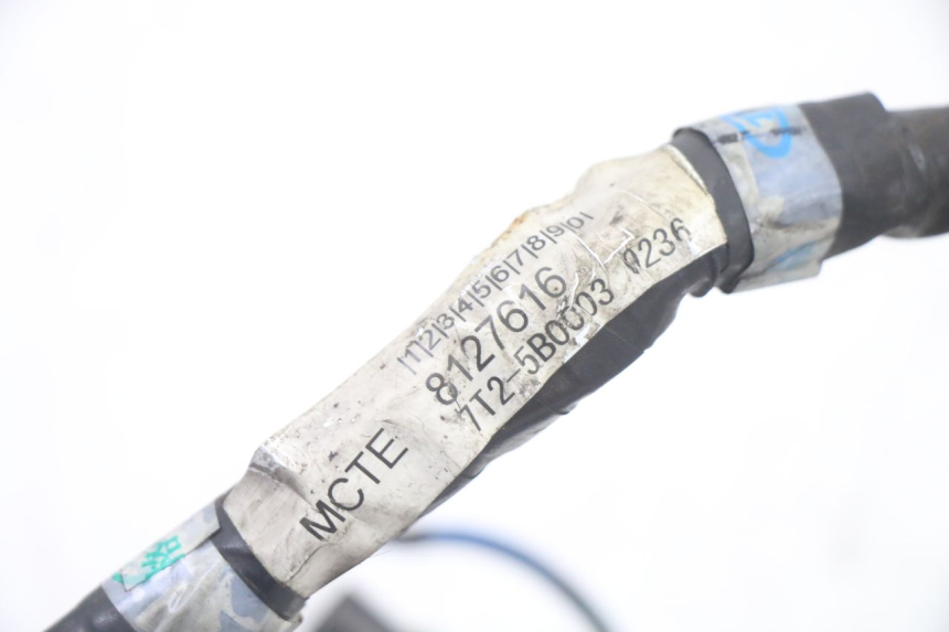 photo de CABLEADO APRILIA SCARABEO GT TOURING 125 (1999 - 2005)