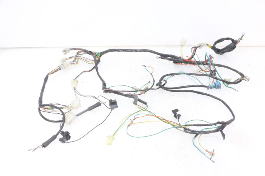 photo de CABLEADO PEUGEOT SPEEDFIGHT 2 LC 50 (2000 - 2009)