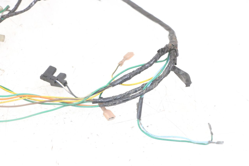photo de CABLEADO PEUGEOT SPEEDFIGHT 2 LC 50 (2000 - 2009)