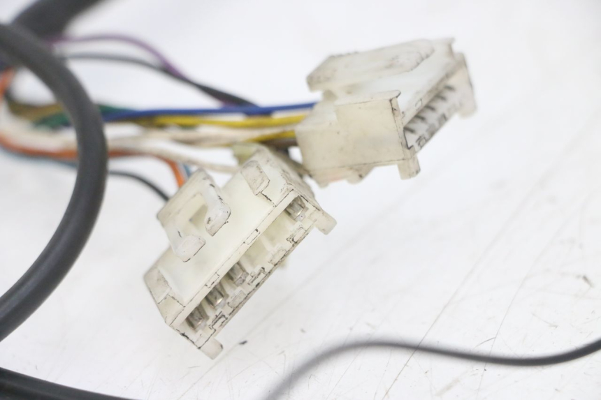 photo de CABLEADO PEUGEOT SPEEDFIGHT 2 LC 50 (2000 - 2009)