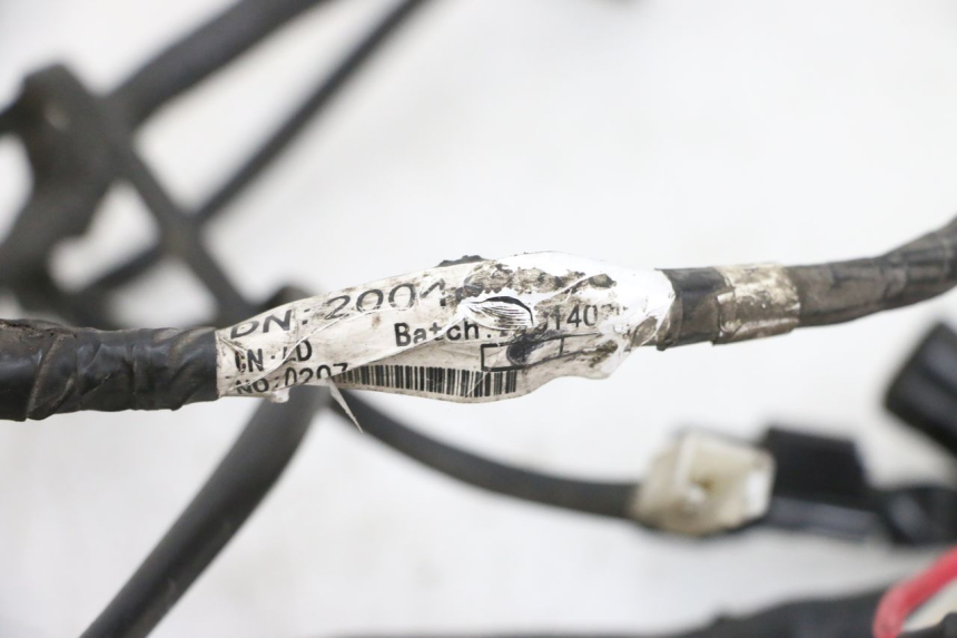 photo de CABLEADO PEUGEOT SPEEDFIGHT 4 4T EFI 50 (2021 - 2025) - Detalle de la pieza