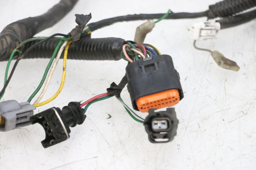 photo de CABLEADO PEUGEOT SPEEDFIGHT 4 4T EFI 50 (2021 - 2025) - Zoom sobre los componentes