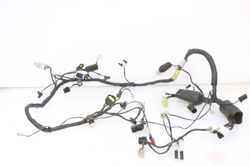 photo de CABLEADO TRIUMPH SPRINT 900 (1995 - 1998)