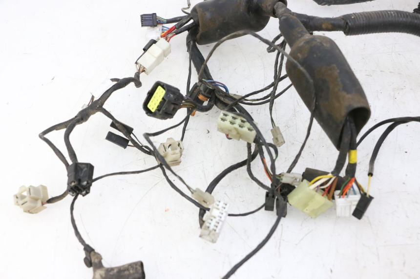 photo de CABLEADO TRIUMPH SPRINT 900 (1995 - 1998)