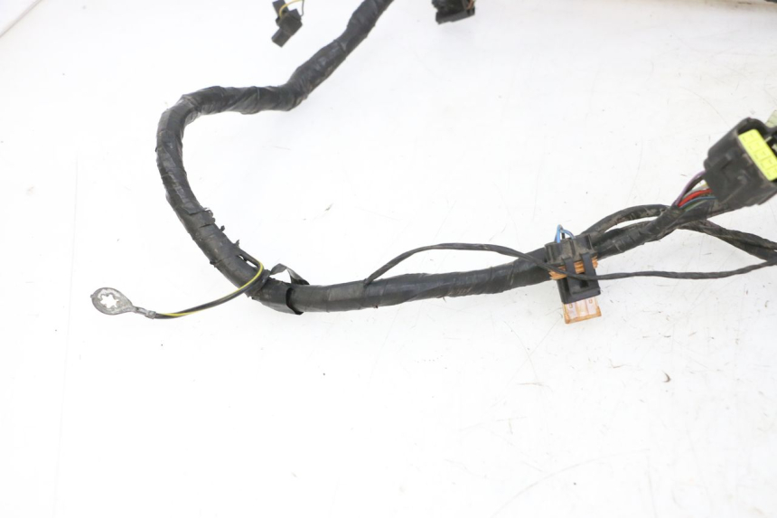 photo de CABLEADO TRIUMPH SPRINT 900 (1995 - 1998)