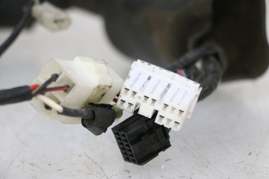 photo de CABLEADO TRIUMPH SPRINT 900 (1995 - 1998)