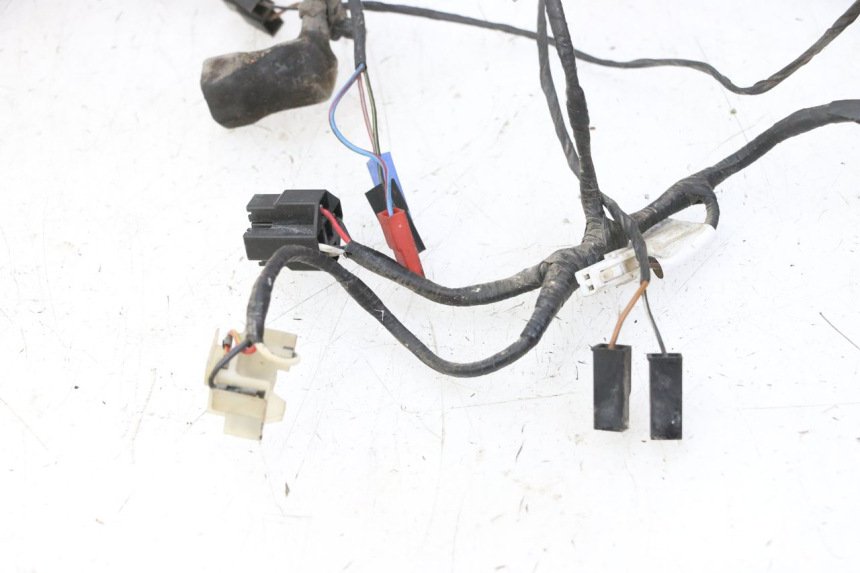 photo de CABLEADO TRIUMPH SPRINT 900 (1995 - 1998)