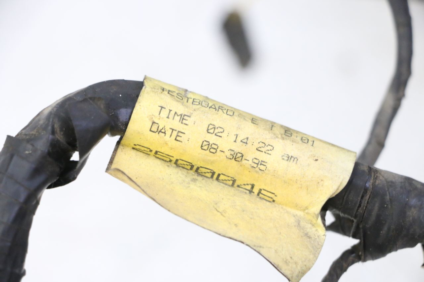photo de CABLEADO TRIUMPH SPRINT 900 (1995 - 1998)