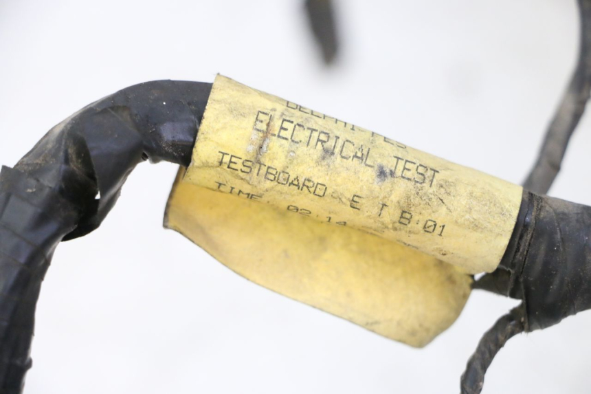 photo de CABLEADO TRIUMPH SPRINT 900 (1995 - 1998)