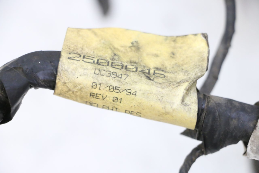 photo de CABLEADO TRIUMPH SPRINT 900 (1995 - 1998)