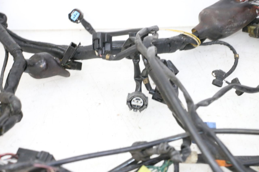 photo de CABLEADO HONDA ST PAN EUROPEAN 1300 (2002 - 2013)