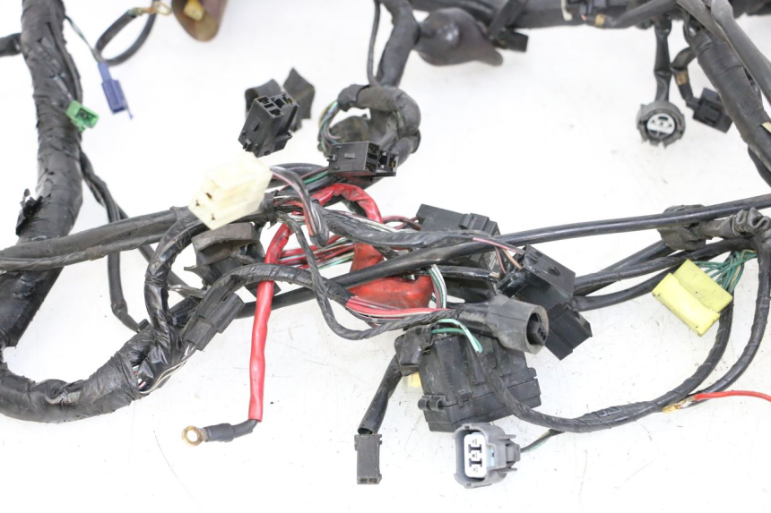 photo de CABLEADO HONDA ST PAN EUROPEAN 1300 (2002 - 2013)