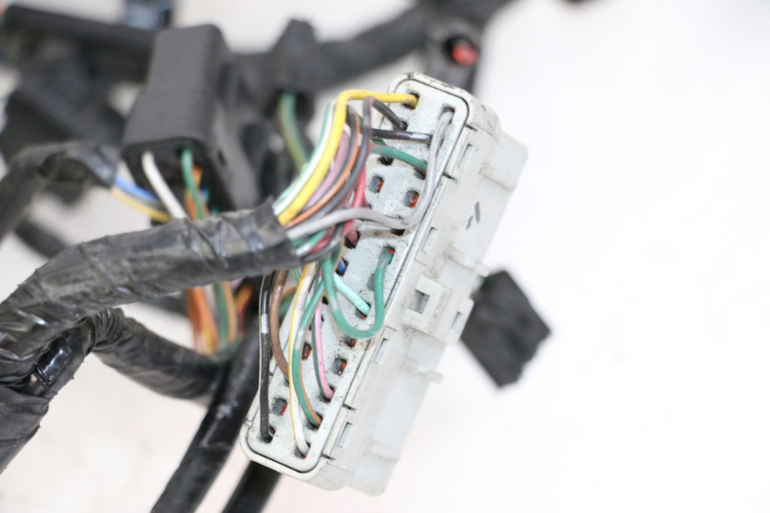 photo de CABLEADO HONDA ST PAN EUROPEAN 1300 (2002 - 2013)