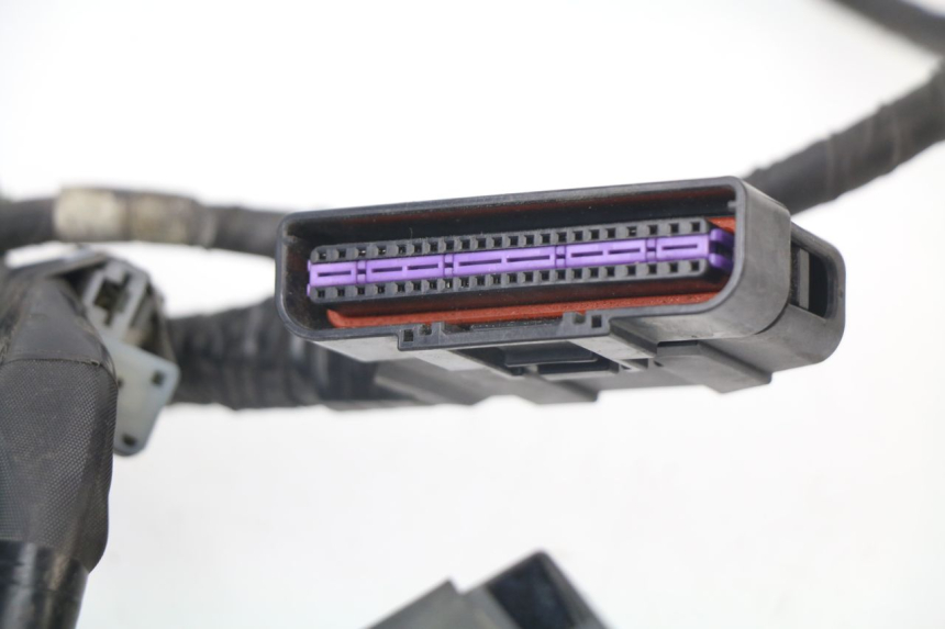 photo de CABLEADO SUZUKI AN BURGMAN 400 (2006 - 2010)