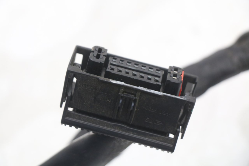 photo de CABLEADO SUZUKI BURGMAN 125 (2018 - 2021)