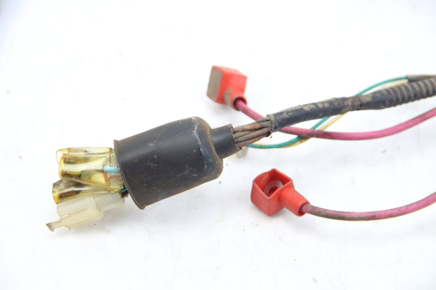 photo de CABLEADO TNT MOTOR OTTO 2T 50 (2012 - 2018)