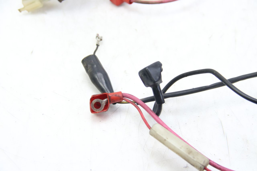 photo de CABLEADO TNT MOTOR OTTO 2T 50 (2012 - 2018)