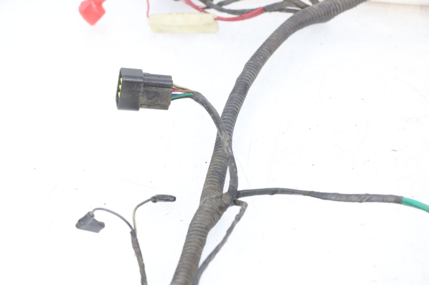 photo de CABLEADO TNT MOTOR ROMA 10' 4T 50 (2019 - 2022)