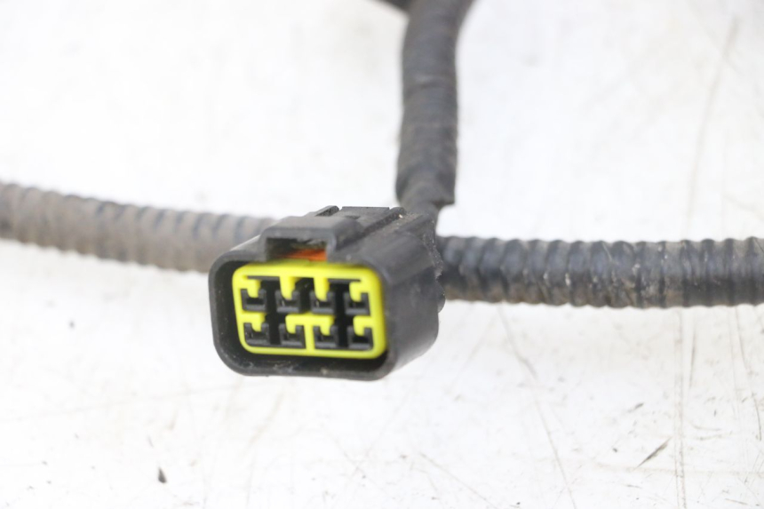 photo de CABLEADO TNT MOTOR ROMA 10' 4T 50 (2019 - 2022)
