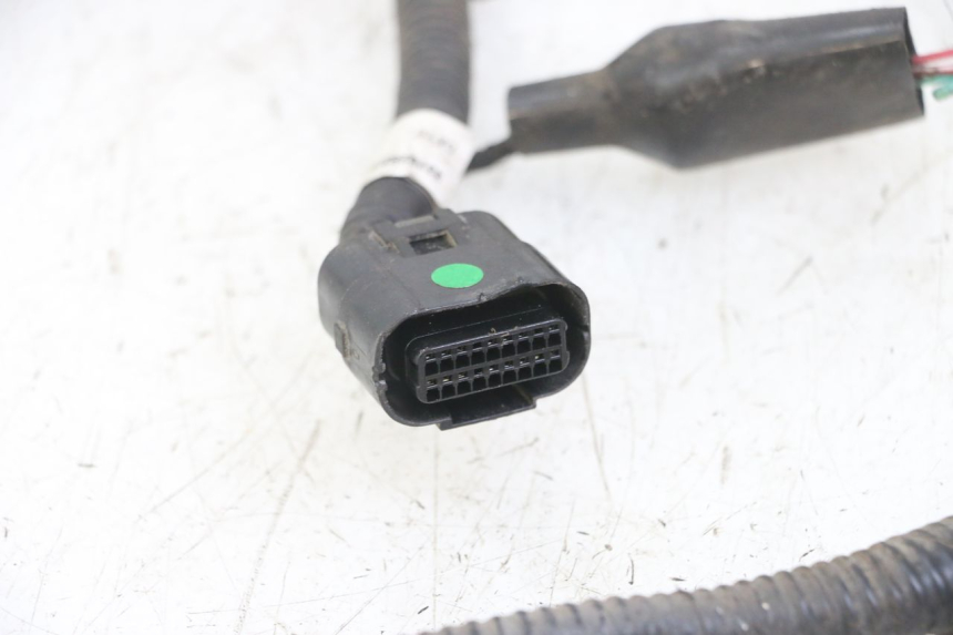 photo de CABLEADO TNT MOTOR ROMA 10' 4T 50 (2019 - 2022)