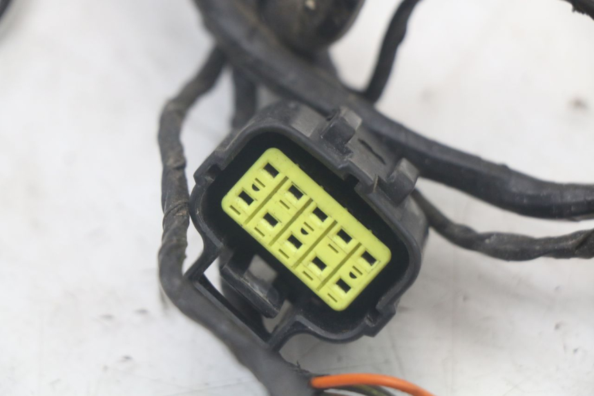 photo de CABLEADO TRIUMPH SPEED TRIPLE T301 900 (1994 - 1996)