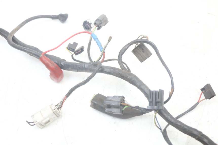 photo de CABLEADO TRIUMPH SPEED TRIPLE T301 900 (1994 - 1996)