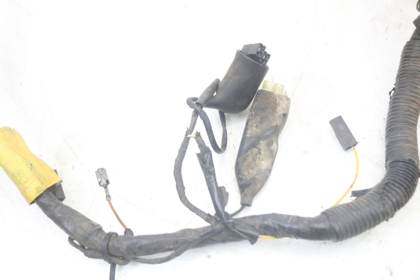 photo de CABLEADO TRIUMPH SPEED TRIPLE T301 900 (1994 - 1996)