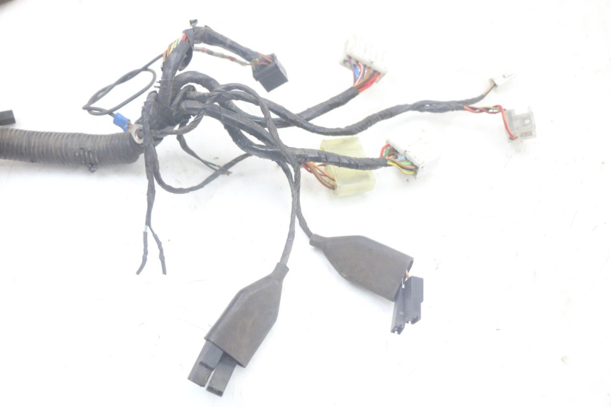 photo de CABLEADO TRIUMPH SPEED TRIPLE T301 900 (1994 - 1996)