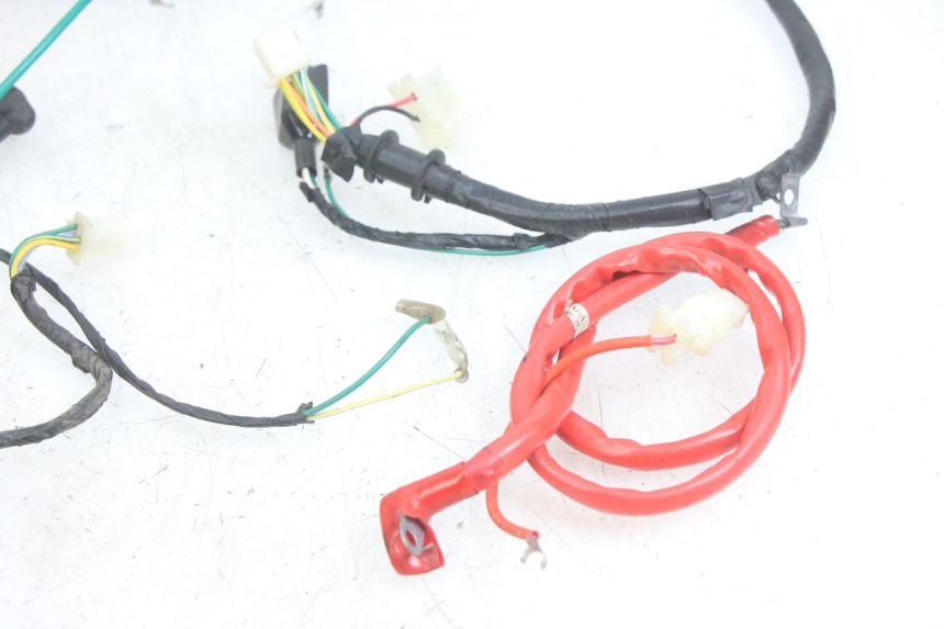 photo de CABLEADO PEUGEOT TWEET 4T 50 (2014 - 2019)