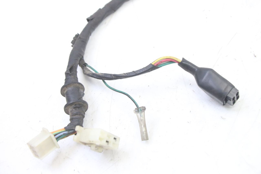 photo de CABLEADO PEUGEOT TWEET 4T 50 (2014 - 2019)