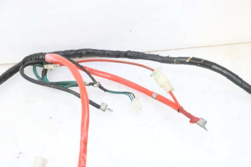 photo de CABLEADO PEUGEOT TWEET 4T 50 (2018 - 2020)