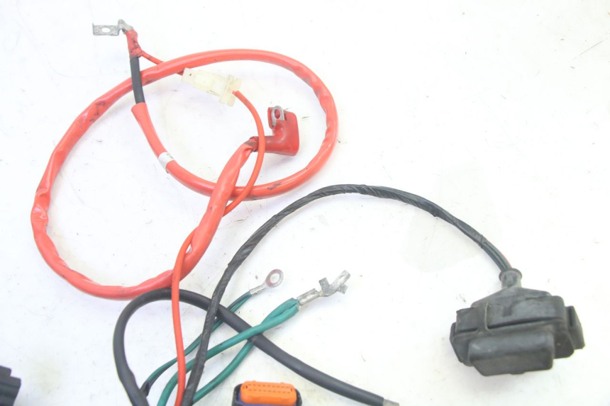 photo de CABLEADO PEUGEOT TWEET PRO EFI 4T 50 (2021 - 2022)