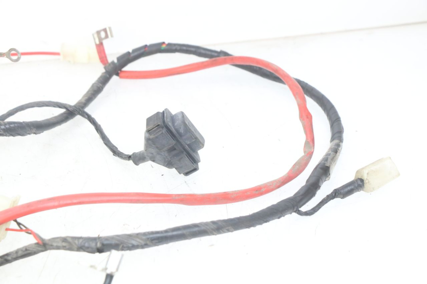 photo de CABLEADO PEUGEOT TWEET 125 (2018 - 2021)