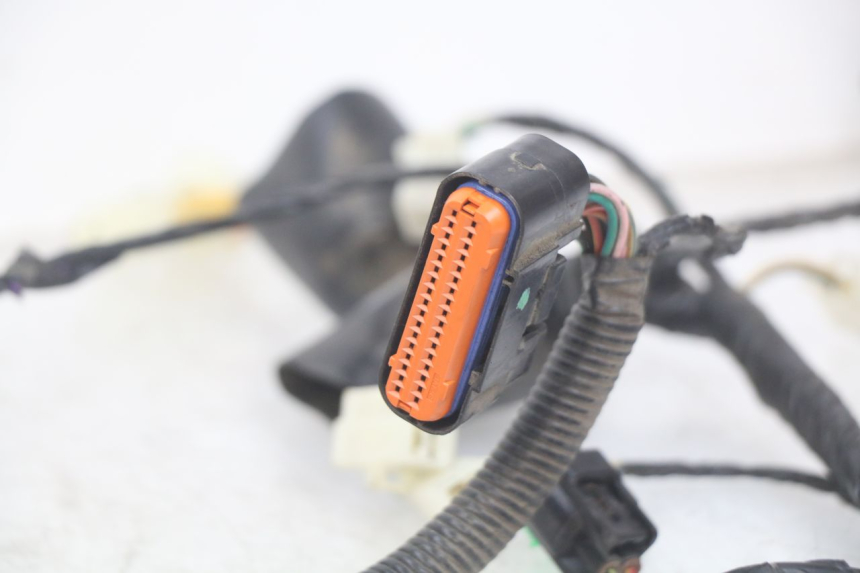 photo de CABLEADO PEUGEOT TWEET 125 (2018 - 2021)