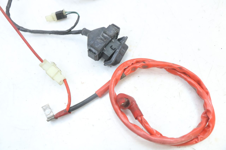 photo de CABLEADO PEUGEOT TWEET 125 (2018 - 2021)