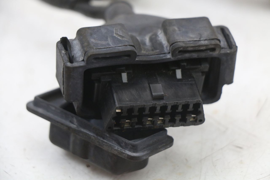 photo de CABLEADO PEUGEOT TWEET 125 (2018 - 2021)