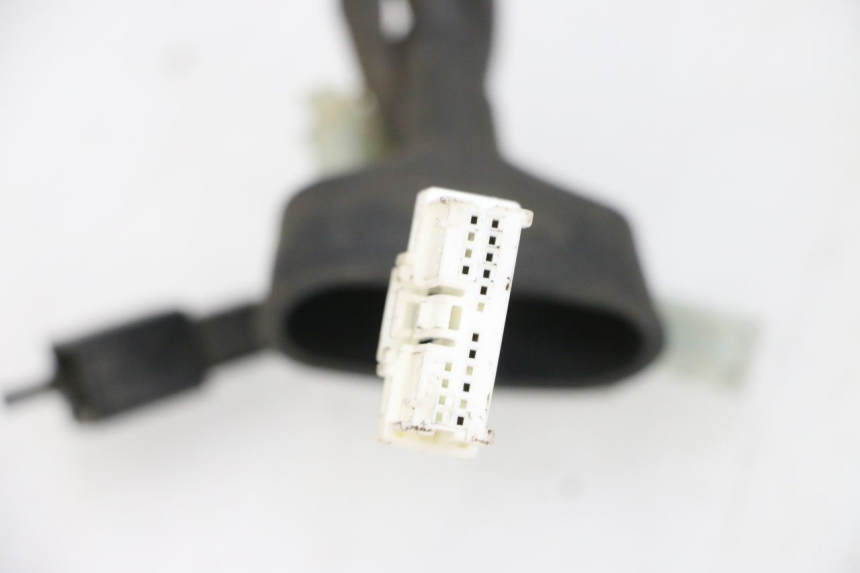 photo de CABLEADO YAMAHA TZR 50 (2008 - 2016) - Zoom sobre los componentes