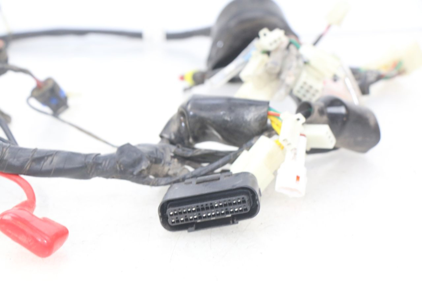 photo de CABLEADO VENESI LOWIGI RETRO JJ50QT-3 50 (2020 - 2022)