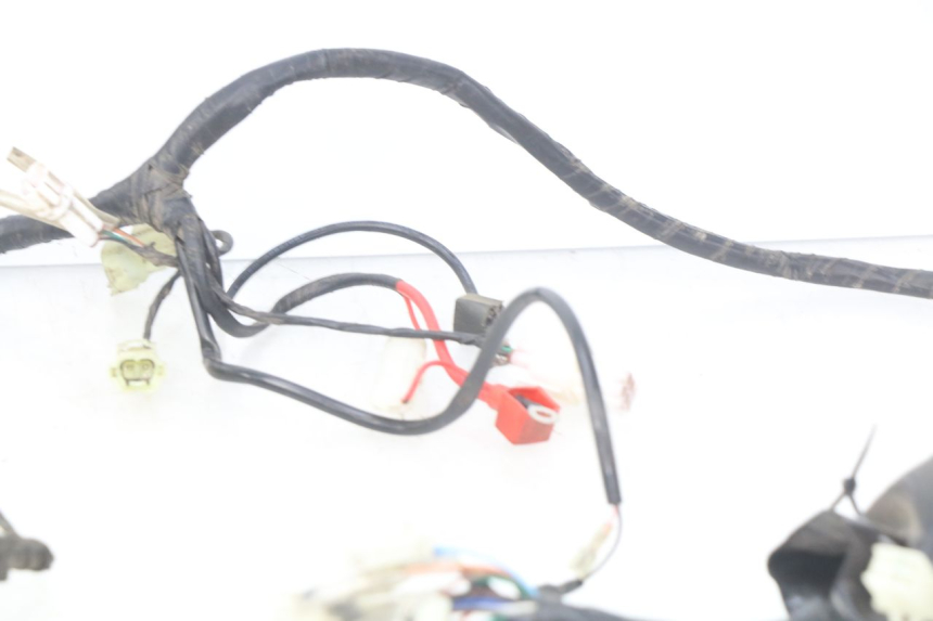 photo de CABLEADO VENESI LOWIGI RETRO JJ50QT-3 50 (2020 - 2022)