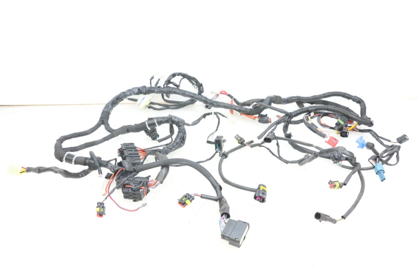 photo de CABLEADO PIAGGIO VESPA PRIMAVERA 4T 50 (2021 - 2024)