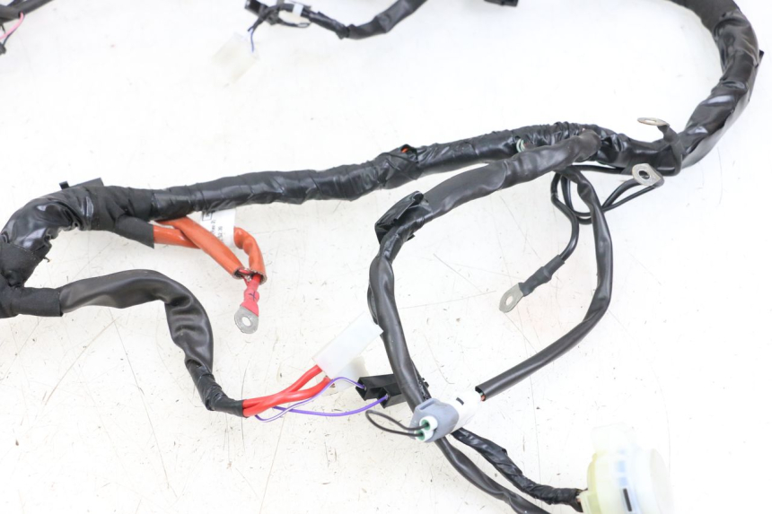 photo de CABLEADO PIAGGIO VESPA PRIMAVERA 4T 50 (2021 - 2024)