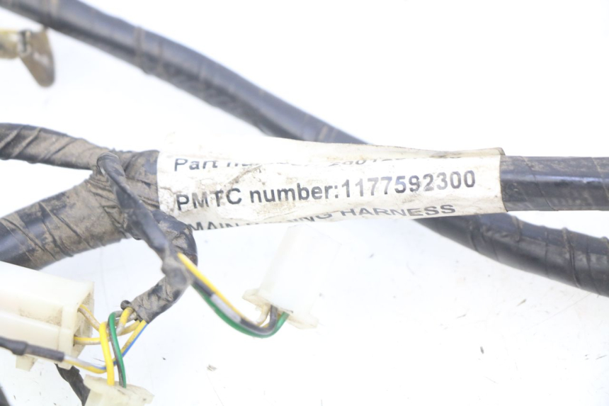 photo de CABLEADO PEUGEOT VIVACITY NEW 4T 50 (2008 - 2017)
