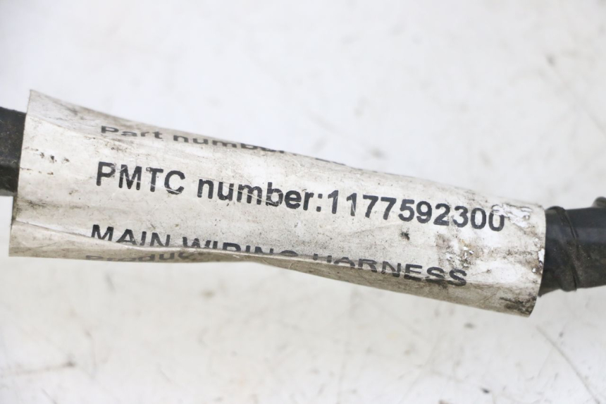 photo de CABLEADO PEUGEOT VIVACITY NEW 4T 50 (2008 - 2017)